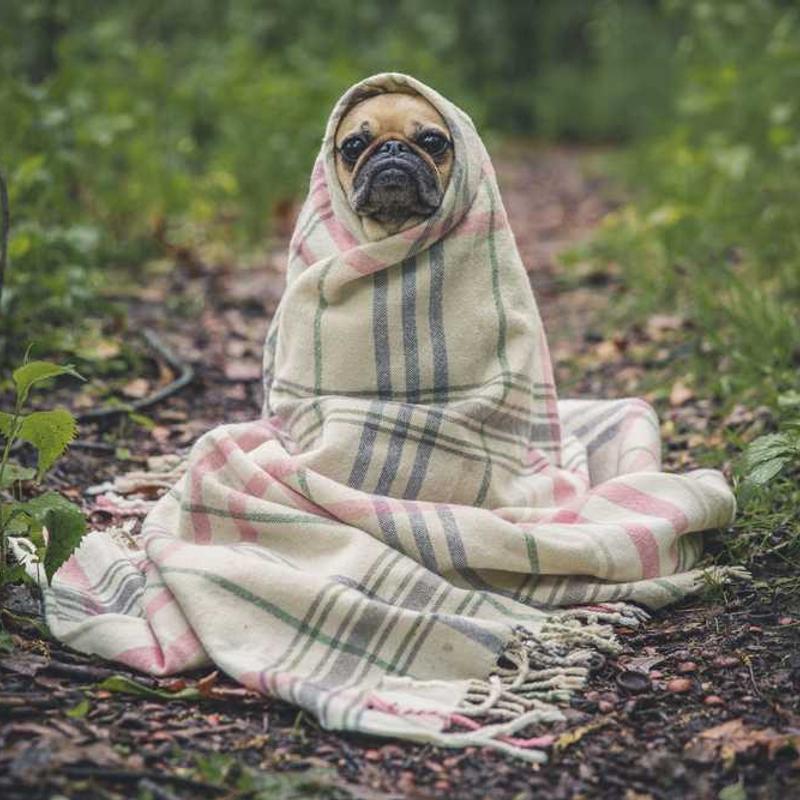 [译]如何使用HTML5章节标签