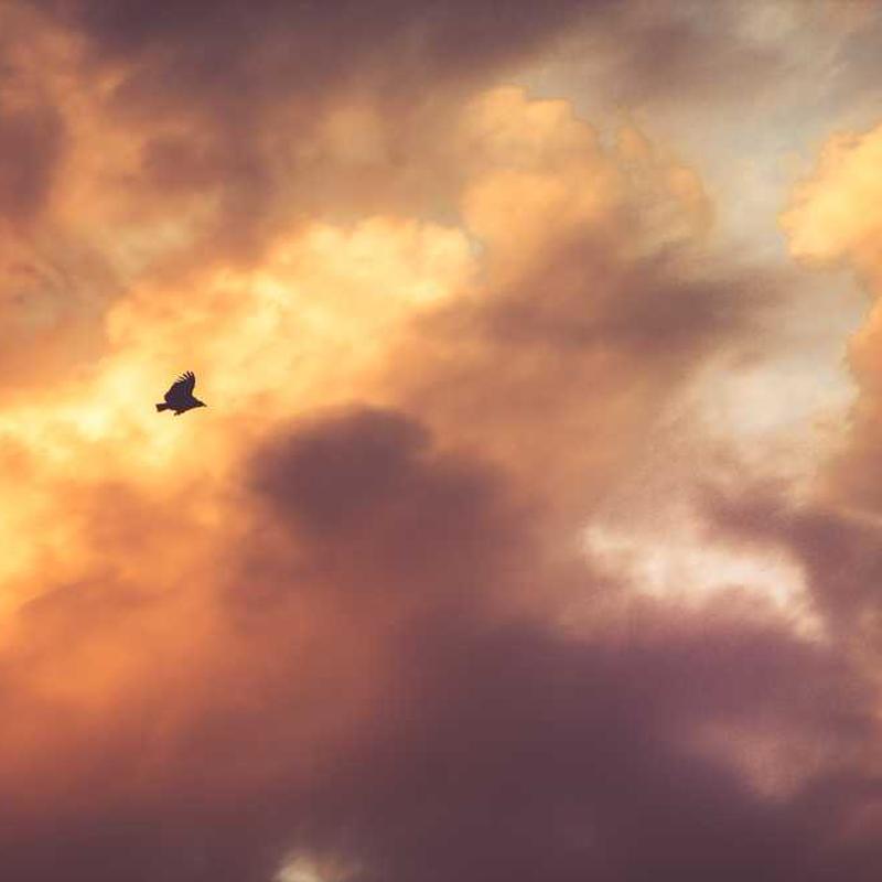 [译]异步加载 CSS 资源