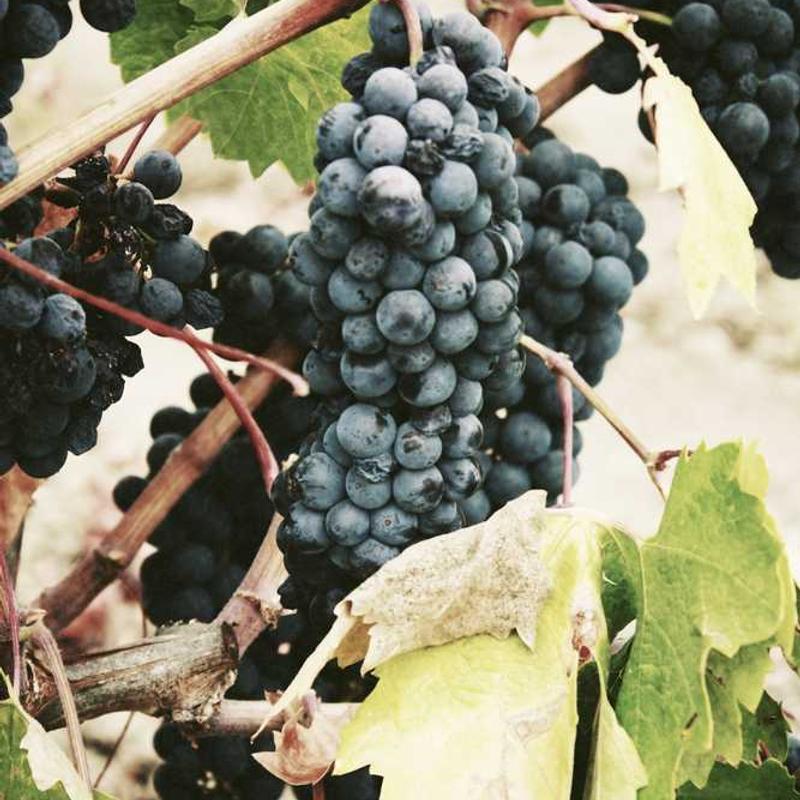 第十一章 模版方法模式 - 《JavaScript 设计模式与开发实战》读书笔记 11