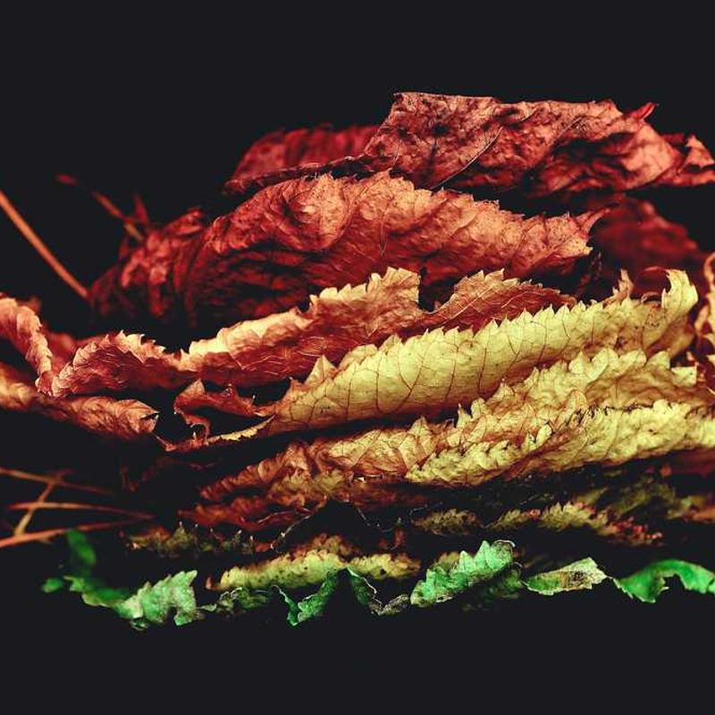 第十二章 享元模式 - 《JavaScript 设计模式与开发实战》读书笔记 12