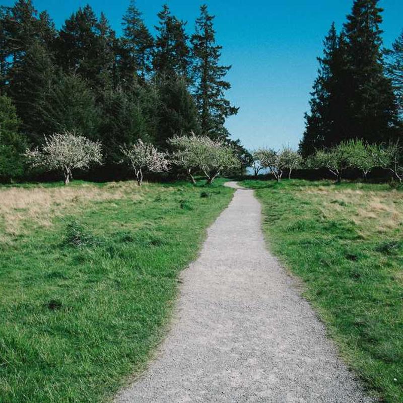 第十六章 状态模式 - 《JavaScript 设计模式与开发实战》读书笔记 16