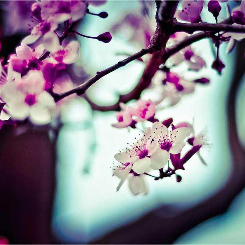 《习惯的力量》读书笔记