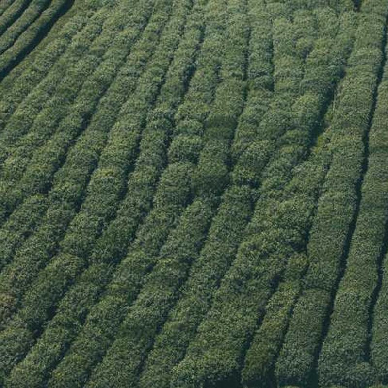 第八章 构建更富弹性的应用 - 《Progressive Web Apps》读书笔记八